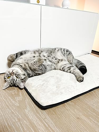 Lebon - Samy - 2 STÜCK - Fensterkissen - Fensterbankkissen - Regalkissen - Fensterliegekissen - Perfekte Maße für viele Tiefe Fensterbänke/Regale - 77x39 - Liegekissen- Kissen Katzenbett Lebon - Samy - 2 STÜCK - Fensterkissen - Fensterbankkissen - Regalkissen - Fensterliegekissen - Perfekte Maße für viele Tiefe Fensterbänke/Regale - 77x39 - Liegekissen- Kissen Katzenbett von Lebon