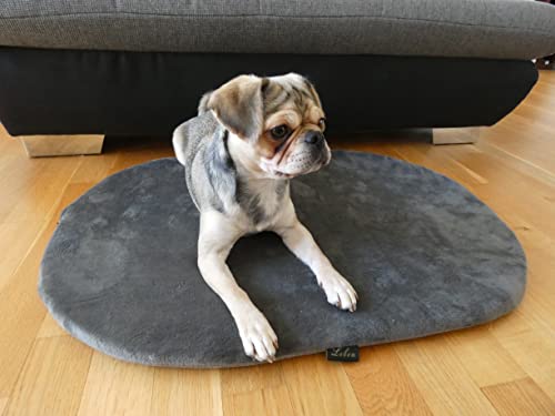 Lebon Liegematte für Hunde, Hundebett - 90 Grad waschbar - Made IN EU Lebon Liegematte für Hunde, Hundebett - 90 Grad waschbar - Made IN EU von Lebon