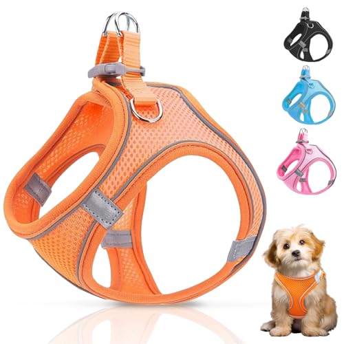 Ledeak Hundegeschirr Kleine Hunde, Reflektierendes Anti Zug Hundegeschirr, Verstellbares Geschirr Hund Katze, Atmungsakti Brustgeschirre für Hunde, Sicherheitsgeschirr Hund (Vitality Orange, L) von Ledeak