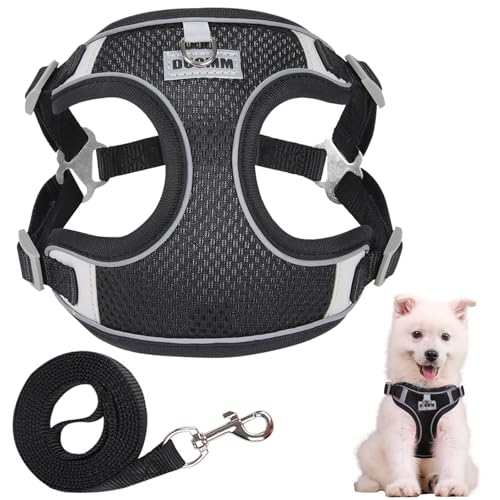 Ledeak Hundegeschirr Mittelgroße Hunde, Reflektierende Geschirr Hund, Verstellbare Anti Zug Hundegeschirr, Brustgeschirre für Hunde, Mesh Hundegeschirre für Kleine Mittlere Grosse Hunde (Schwarz, S) Ledeak Hundegeschirr Mittelgroße Hunde, Reflektierende Geschirr Hund, Verstellbare Anti Zug Hundegeschirr, Brustgeschirre für Hunde, Mesh Hundegeschirre für Kleine Mittlere Grosse Hunde (Schwarz, S) von Ledeak