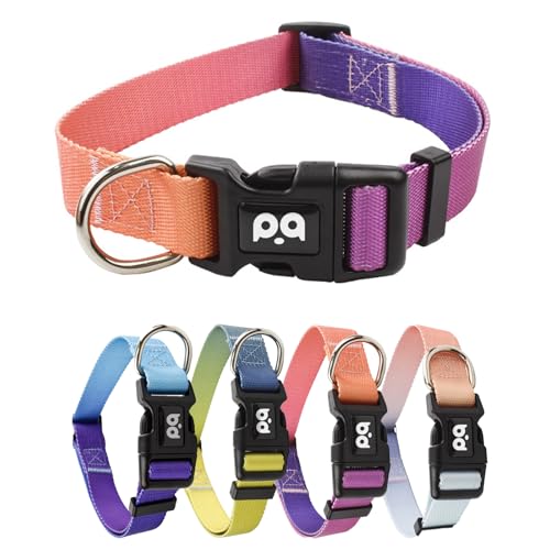 Ledeak Nylon Hundehalsband, Verstellbar Hunde Halsband Mit Farbverlauf, Welpenhalsband Mit Robuster Sicherheitsschnalle, Anti Zug Hunde Halsband für Welpen Kleine Mittel Große Hunde (Orange Rot, XS) Ledeak Nylon Hundehalsband, Verstellbar Hunde Halsband Mit Farbverlauf, Welpenhalsband Mit Robuster Sicherheitsschnalle, Anti Zug Hunde Halsband für Welpen Kleine Mittel Große Hunde (Orange Rot, XS) von Ledeak