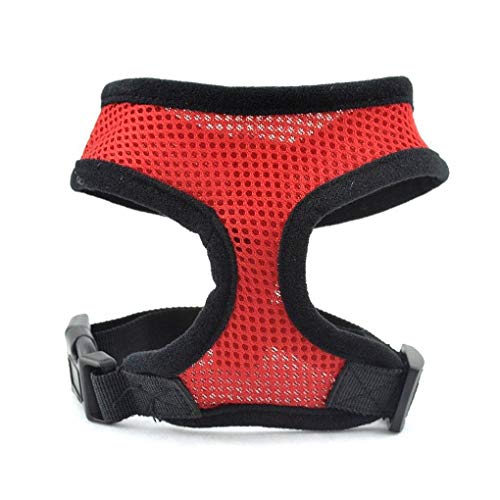 Haustier-Hunde-Sicherheitsgeschirr, einfache Kontrolle, Netzweste, Brustgurte, Gürtel, Rot, XS Haustier-Hunde-Sicherheitsgeschirr, einfache Kontrolle, Netzweste, Brustgurte, Gürtel, Rot, XS von Leeadwaey
