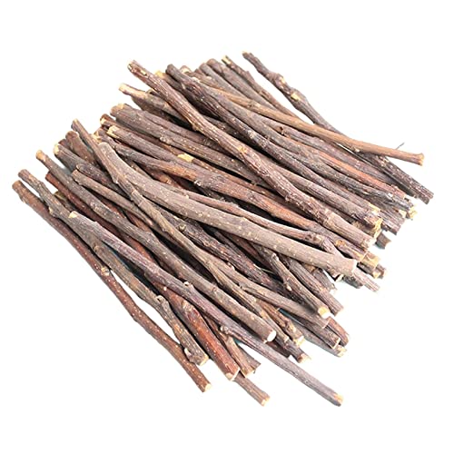 Kaustäbchen aus Apfelholz, 1000 g, für Hamster, Eichhörnchen, Nagetiere, Nr. 1 Kaustäbchen aus Apfelholz, 1000 g, für Hamster, Eichhörnchen, Nagetiere, Nr. 1 von Leeadwaey