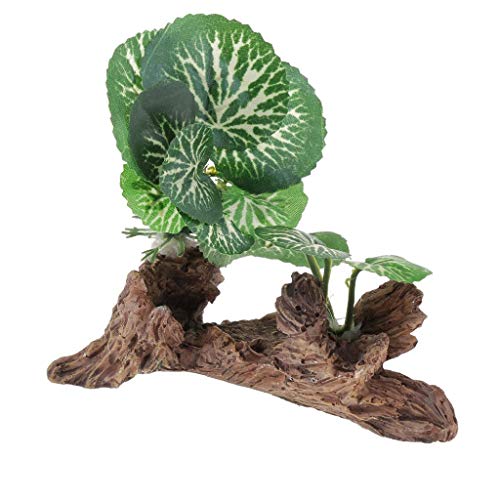 Leeadwaey Kunstharzpflanze für Reptilien- oder Aquarium, Grün, Typ 3 von Leeadwaey