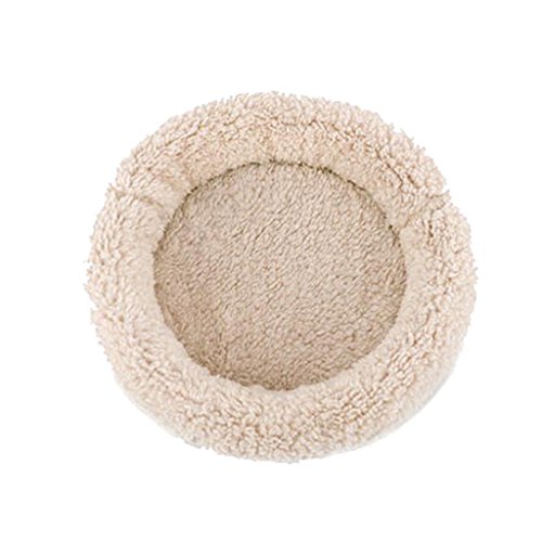Leeadwaey New Meerschweinchen Wintermatte Kleintier Hamster Igel Schlafmatte L Creme Leeadwaey New Meerschweinchen Wintermatte Kleintier Hamster Igel Schlafmatte L Creme von Leeadwaey