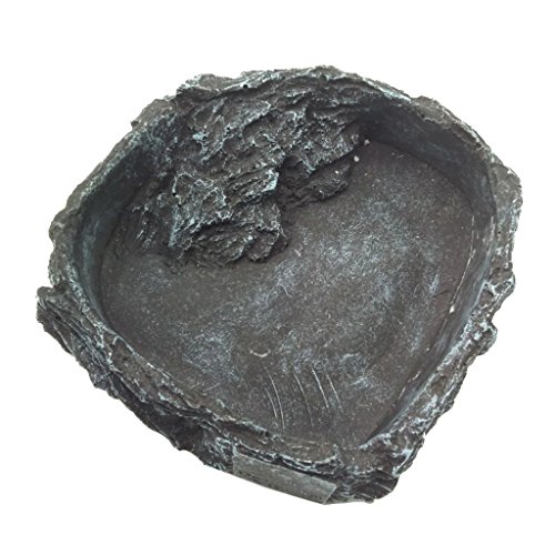 Leeadwaey Reptilien-Futter- und Wasserschale, Mini-Eck-Futternapf für Reptilien, Typ 1 Leeadwaey Reptilien-Futter- und Wasserschale, Mini-Eck-Futternapf für Reptilien, Typ 1 von Leeadwaey