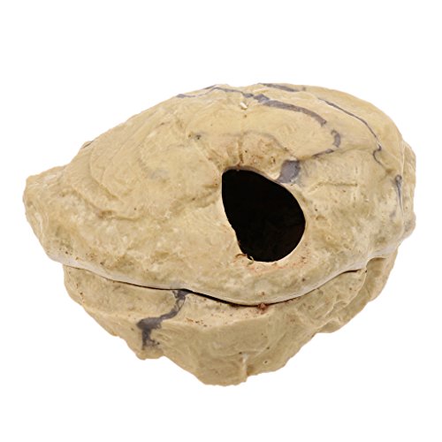 Leeadwaey Reptilien-Versteckhöhle aus Kunstharz mit Deckel, Dekoration, Fischschildkröte, M von Leeadwaey