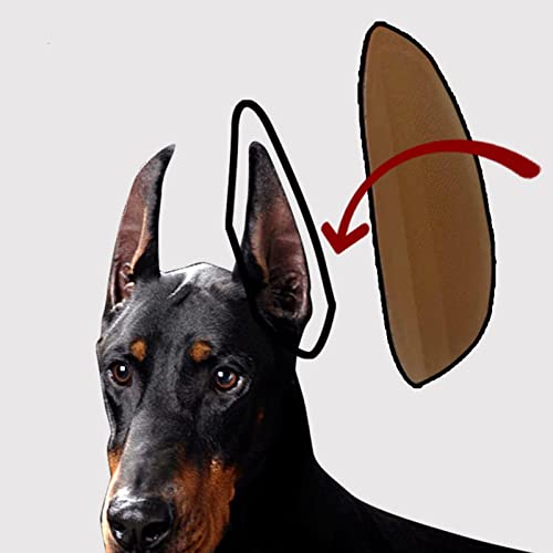 Leeadwaey Stand Up Sticker Fixed Support Deutscher Schäferhund Hebewerkzeug 6x3cm Leeadwaey Stand Up Sticker Fixed Support Deutscher Schäferhund Hebewerkzeug 6x3cm von Leeadwaey