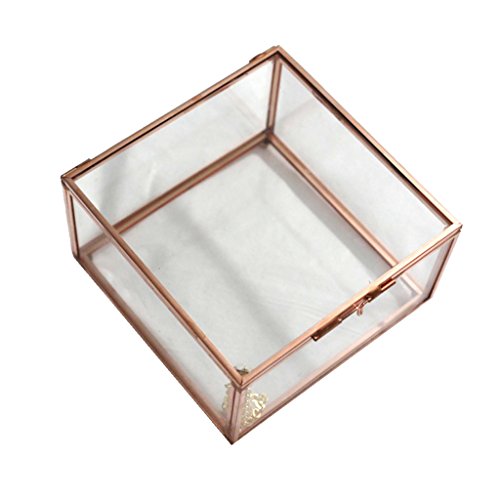 Modernes Glas, Metall, Quader, geometrisches Terrarium, Sukkulentenbehälter, L von Leeadwaey