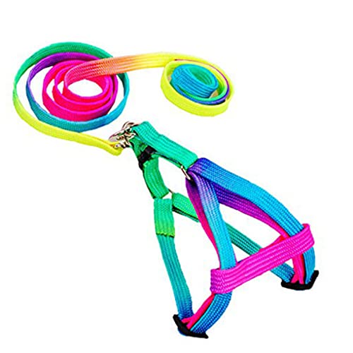 Verstellbares Regenbogen-Halsband für kleine Kaninchen, Katzen, Leine, Band für Hunde und Haustiere Verstellbares Regenbogen-Halsband für kleine Kaninchen, Katzen, Leine, Band für Hunde und Haustiere von Leeadwaey