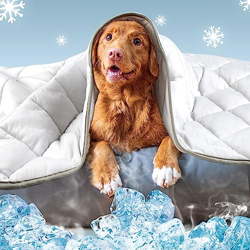 Leekalos Kühlmatte für Hunde, Kühlkissen für Hunde, Sommer-Kühlbett für Katzen, tragbares Haustier-Kühlkissen für Zuhause und draußen, kühlt für Haustiere, Kinder und Erwachsene Leekalos Kühlmatte für Hunde, Kühlkissen für Hunde, Sommer-Kühlbett für Katzen, tragbares Haustier-Kühlkissen für Zuhause und draußen, kühlt für Haustiere, Kinder und Erwachsene von Leekalos
