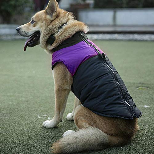 Leftwei wasserdichte Daunenweste Haustier Kleidung, lila wasserdichte Haustier Daunenjacke, Hund Welpen Katze für Haustier Kleidung(2XL) von Leftwei