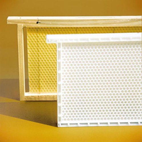 Dadant Blatt Honig-Raum Kunststoffwabe, Rähmchen und Mittelwand aus Kunstoff Dadant Blatt Honig-Raum Kunststoffwabe, Rähmchen und Mittelwand aus Kunstoff von Lega