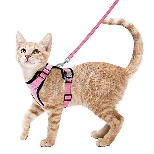 Legou Haustiergurt Traktionsseil mit reflektierenden Streifen für Kätzchen und Welpen Brustgurte Pink S Legou Haustiergurt Traktionsseil mit reflektierenden Streifen für Kätzchen und Welpen Brustgurte Pink S von Legou