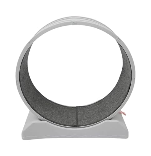 GroßEr Raddurchmesser Bodenhalterung Katzenlaufrad Cat Laufrad KlettergerüSt Rad Sports Laufband Katzen Mit Arretierung Richtiges Kratzen Nahtloses Design Komfortabler Unterhaltungsort Grau GroßEr Raddurchmesser Bodenhalterung Katzenlaufrad Cat Laufrad KlettergerüSt Rad Sports Laufband Katzen Mit Arretierung Richtiges Kratzen Nahtloses Design Komfortabler Unterhaltungsort Grau von Legwfdthy