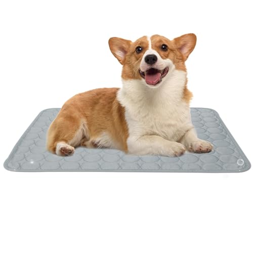 Leikurvo Kühlmatte Hunde Katzen Haustier, 70x55cm Kuhlmatte für Hund und Katze Grosse Kühldecke Verschleißfest Hundebett Waschbar Hundematte Kühl Hundedecke Hundehütte Auto Outdoor Zuhause (Grau) Leikurvo Kühlmatte Hunde Katzen Haustier, 70x55cm Kuhlmatte für Hund und Katze Grosse Kühldecke Verschleißfest Hundebett Waschbar Hundematte Kühl Hundedecke Hundehütte Auto Outdoor Zuhause (Grau) von Leikurvo
