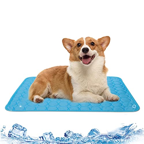 Leikurvo Kühlmatte Hunde Katzen: 70x55cm Haustier Kuhlmatte für Hund und Katze Grosse Kühldecke Verschleißfest Hundebett Waschbar Hundematte Kühl Hundedecke Hundehütte Auto Outdoor Zuhause (blau) von Leikurvo