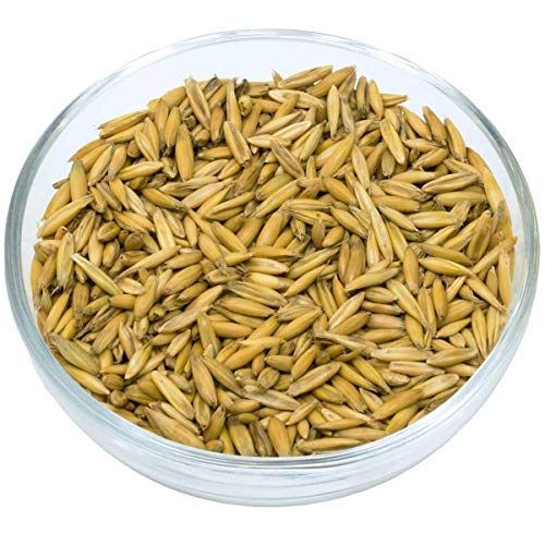 Leimüller Bio Hafer ganz 20 kg | Natürlicher Pferdehafer aus Österreich für Pferde, Ponys, Vögel & Sittiche | Futter für mehr Lebensfreude & Motivation | Bio-Gütesiegel & Frei von Gentechnik Leimüller Bio Hafer ganz 20 kg | Natürlicher Pferdehafer aus Österreich für Pferde, Ponys, Vögel & Sittiche | Futter für mehr Lebensfreude & Motivation | Bio-Gütesiegel & Frei von Gentechnik von Leimüller