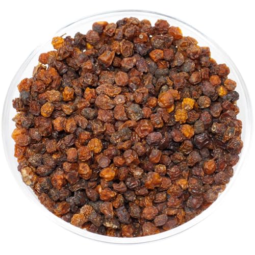 Leimüller Vogelbeeren 1 kg | Ausgewogene Eberesche aus Österreich | Beliebt bei Vögeln & Eichhörnchen | Schneller Energielieferant & Vitaminbooster | Ohne Zuckerzusatz & Konservierungsstoffe Leimüller Vogelbeeren 1 kg | Ausgewogene Eberesche aus Österreich | Beliebt bei Vögeln & Eichhörnchen | Schneller Energielieferant & Vitaminbooster | Ohne Zuckerzusatz & Konservierungsstoffe von Leimüller