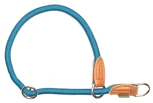 Leisegrün Hundehalsband Paracord verstellbar | Halsband für Hunde aus Nylon | Modell Devon | Petrol | Größe: L von Leisegrün