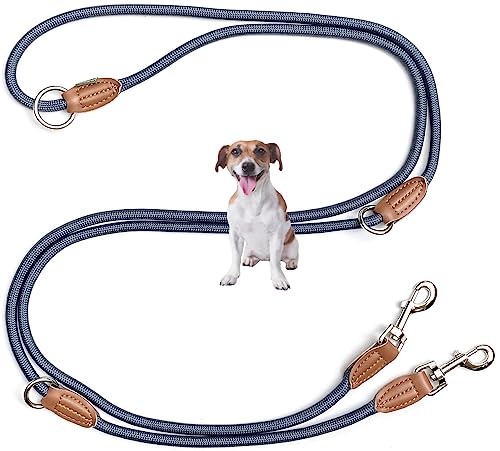 Leisegrün Hundeleine kleine Hunde leicht | Führleine 3m verstellbar mit 2 Karabiner | 3 Meter lang x 0,8 cm | Nur 200 g | Modell Devon | Blau von Leisegrün