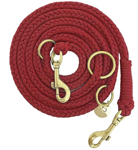 Leisegrün Paracord Hundeleine 2m | Handgefertigte Leine 3-Fach verstellbar | Handmade für kleine und mittelgroße Hunde (Ruby, 2 m) | Farbe: Rot von Leisegrün