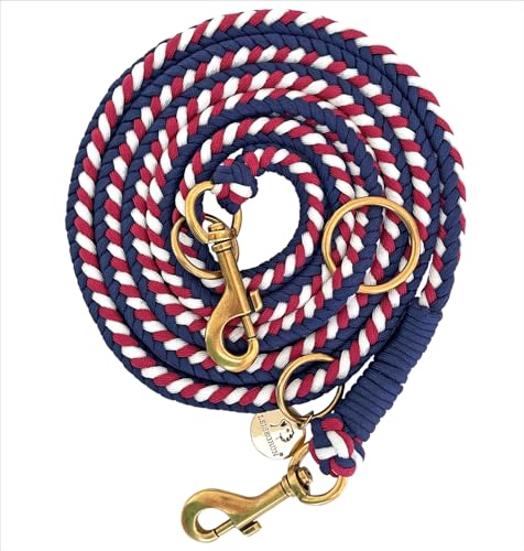 Leisegrün Paracord Hundeleine 2m | Handgefertigte Leine 3-Fach verstellbar | Handmade für kleine und mittelgroße Hunde (Ruby Twist, 2 m) | Farbe: Rot-Blau von Leisegrün