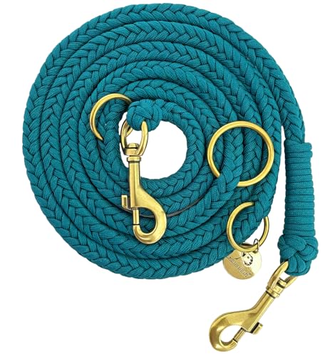Leisegrün Paracord Hundeleine 2m | Handgefertigte Leine 3-Fach verstellbar | Handmade für kleine und mittelgroße Hunde (Seafoam, 2 m) | Farbe: Türkis von Leisegrün