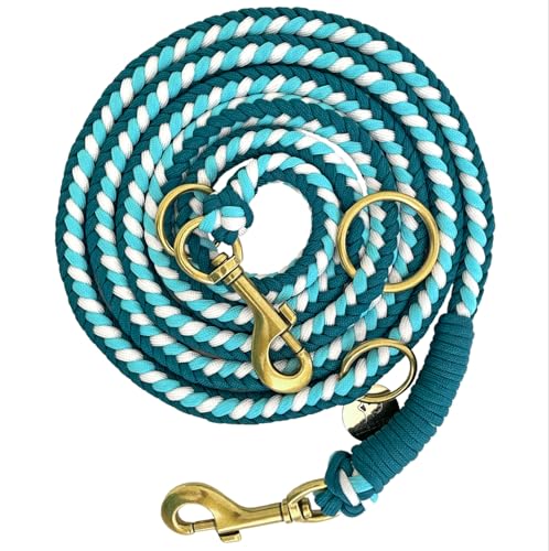 Leisegrün Paracord Hundeleine 2m | Handgefertigte Leine 3-Fach verstellbar | Handmade für kleine und mittelgroße Hunde (Seafoam Twist, 2 m) | Farbe: Türkis-Petrol von Leisegrün