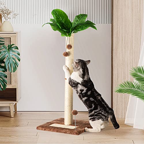 Leisuremix Kratzsäule für Katzen, Kratzstamm XXL 80cm hoch, Katzenkratzbaum für Kätzchen, grüner Kratzbaum modernes Design für große Katzen Leisuremix Kratzsäule für Katzen, Kratzstamm XXL 80cm hoch, Katzenkratzbaum für Kätzchen, grüner Kratzbaum modernes Design für große Katzen von Leisuremix