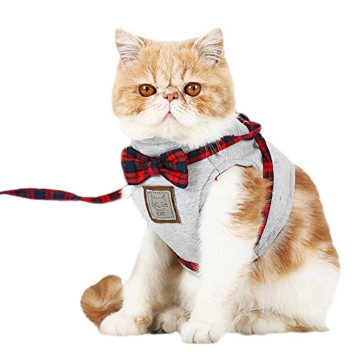 Katze Weste Harness Britischen Stil Walking Jacken Blei Leine Set für Hunde und Katzen Walking Escape Proof (M) von Leisuretime