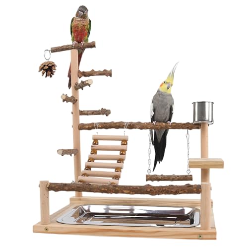 Bird Playground Naturalholz Papageienständer mit Feeder Cup Bird Perch Spiel Spiel Gymnastik Guardgie Spielzeug Mehrzweckpapagei von LejeMaek