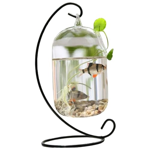 Fischschale, klarer Wandfischtank mit schwarzem Stand Fisch Kleiner Tischglas Beta Fischtank kreatives Vase -Aquarium für Home Office Dekoration Wandfischtank Fischschale, klarer Wandfischtank mit schwarzem Stand Fisch Kleiner Tischglas Beta Fischtank kreatives Vase -Aquarium für Home Office Dekoration Wandfischtank von LejeMaek