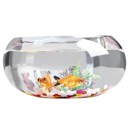 Fischschüssel 11.8x5, 5 '' klarer runde Glasfischschale mit farbigem Stein ＆ Nahrungsmittel Goldfisch Nicht-Schlupfer Kleiner Tank für Schildkrötenpflanzen Home Office Dekor von LejeMaek