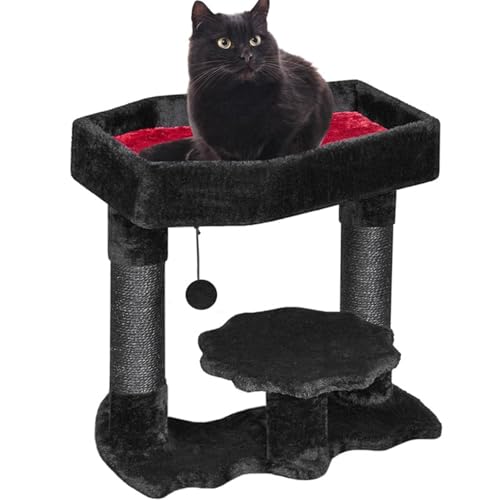 Gothic Cat Tree mit Sarg -Katzenbett Halloween Black Tree Turm mit Schwesternkratzern und Spinnenspielzeug 20 in hohen Türmen mit weichem Bett Halloween Haustiermöbel Gothic Cat Tree mit Sarg -Katzenbett Halloween Black Tree Turm mit Schwesternkratzern und Spinnenspielzeug 20 in hohen Türmen mit weichem Bett Halloween Haustiermöbel von LejeMaek