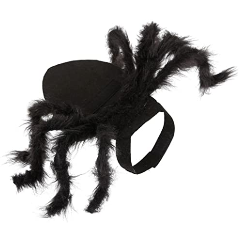 Halloween Pet Spider Kostüm Cosplay Horic Giant Pelry Katze Kleid auf Accessoire S Halloween Pet Spider Kostüm von LejeMaek
