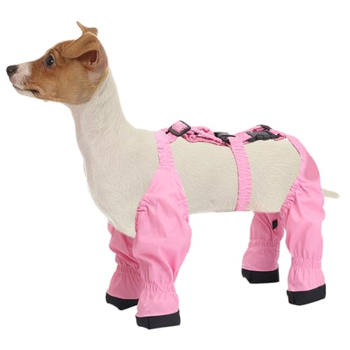 Hosenträger für Hunde wasserdichte Hosenträger für Hunde weiche und Bequeme Hundestiefel -Leggings Verstellbarer Hundepfotenschutz mit Hilfsgurt für kleine, mittelgroße XL Boo Hosenträger für Hunde wasserdichte Hosenträger für Hunde weiche und Bequeme Hundestiefel -Leggings Verstellbarer Hundepfotenschutz mit Hilfsgurt für kleine, mittelgroße XL Boo von LejeMaek