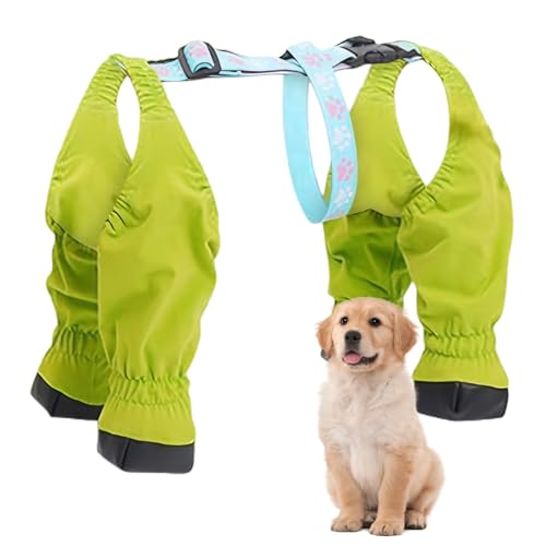 Hund Hosendiefst von LejeMaek