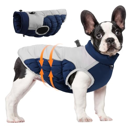 LejeMaek Hunde Wintermantel wasserdes Warmer Hundebel mit Gurt Refreative Reißverschluss -Up -Hundejacke kaltes Wetter gemütlicher Baumwollmantel für mittlere große Hunde 2xlwith von LejeMaek