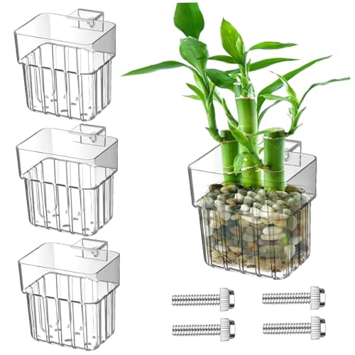 LejeMaek 4pcs Aquarium Pflanzenhalter, hängende klare Fischtankpflanzhalter mit Loch, Einstellbarer Wassertopf für Wasserkultivierungen Aquarium Wasser Merkmal Decorinhaber von LejeMaek