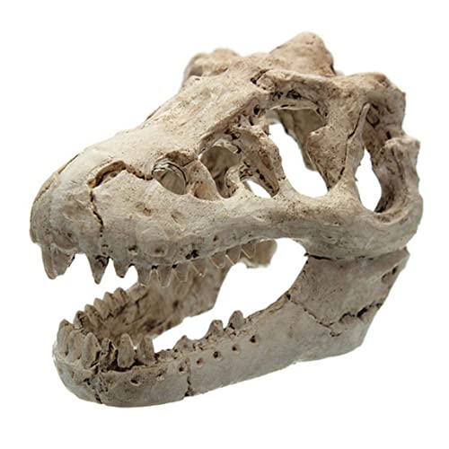 LejeMaek Aquarium Dinosaurierschädel Ornament Neuheit Fischtank Dekoration Terrarium Künstliche Modell Kopf Replik Harz Accessoires von LejeMaek