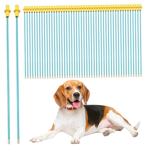 LejeMaek Katheterrohr für Hunde Insemination 50pcs verfügbar künstliche Insemination Kit für Hunde runden Kopf Flexible 12 Hunderzugänge für kleine und mittelgroße Hunde künstliche Befruchtung LejeMaek Katheterrohr für Hunde Insemination 50pcs verfügbar künstliche Insemination Kit für Hunde runden Kopf Flexible 12 Hunderzugänge für kleine und mittelgroße Hunde künstliche Befruchtung von LejeMaek