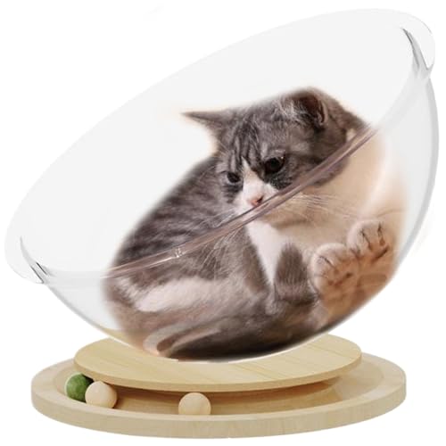 LejeMaek Raumkapsel Katzenbett mit Katzenfischkugel in der Spur 14, 6 -Zoll -Katzenschalenbett mit Holzbasis Glatte transparente Betten für Innenkatzen innerhalb von 13 Pfund Raumkapsel von LejeMaek
