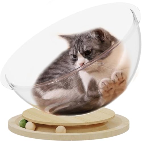 LejeMaek Raumkapsel Katzenbett mit Katzenfischkugel in der Spur 16, 5 -Zoll -Katzenschüsselbett mit Holzbasis Glatte transparente Betten für Innenkatzen innerhalb von 22 Pfund Capssel LejeMaek Raumkapsel Katzenbett mit Katzenfischkugel in der Spur 16, 5 -Zoll -Katzenschüsselbett mit Holzbasis Glatte transparente Betten für Innenkatzen innerhalb von 22 Pfund Capssel von LejeMaek