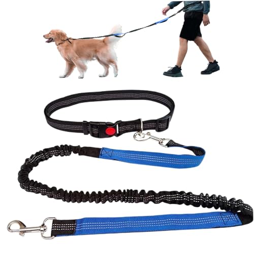 LejeMaek Taille-Leine für Hunde Laufen 49-71 Einziehbare Hände Freie Hundeleine mit Legierungsclip Reflektierende Polyester-Hundeleine zum Gehen, Joggen, Laufen, Training LejeMaek Taille-Leine für Hunde Laufen 49-71 Einziehbare Hände Freie Hundeleine mit Legierungsclip Reflektierende Polyester-Hundeleine zum Gehen, Joggen, Laufen, Training von LejeMaek