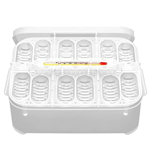 Reptilien -Inkubationsbox Reptile Inkubator Eierschale Schluckkasten mit 12 Gittern für Schildkröte Gecko Eidechsen Mane Inkubation Reptilien -Inkubationsbox Reptile Inkubator Eierschale Schluckkasten mit 12 Gittern für Schildkröte Gecko Eidechsen Mane Inkubation von LejeMaek