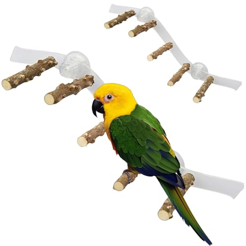 Vogeldusche Barsch, Holzfenster Barschspielzeug mit Saugnapfbecher, Klettern Ramp Leiter Vogelstand Käfigzubehör Parrot Playstand für Cockatiel Lovebird Blockgie Barsch Vogeldusche Barsch, Holzfenster Barschspielzeug mit Saugnapfbecher, Klettern Ramp Leiter Vogelstand Käfigzubehör Parrot Playstand für Cockatiel Lovebird Blockgie Barsch von LejeMaek