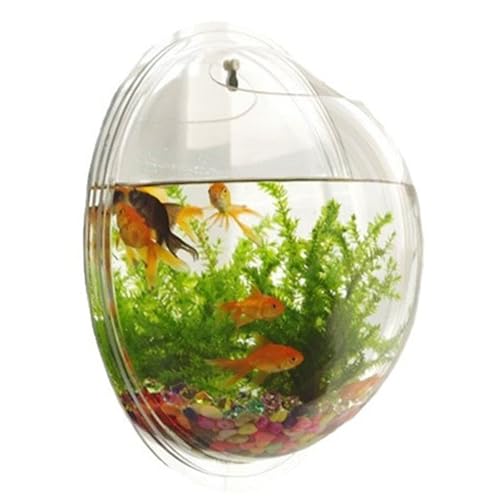 Wandfischtank klare Acrylhydroponic Decorative Wandfischschale Impakt-resistente Bubble Tank Raumsparende Terrarien Geschenk, 6x6x3in von LejeMaek
