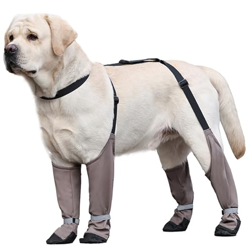 wasserdichte Hundeschuhe Anti-Rutschhund-Schuhe reflektierende Stiefel und Pfotenschutz mit verstellbaren Straps Stiefel für heißes Pflaster, Wandern, regnerische und schneebedeckte Tage, L wasserdic von LejeMaek