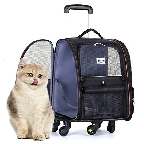 Lekespring Hunderucksack Katzenrucksack mit Trolley 2 in 1 bis 8 kg, Faltbare Katzenrucksack Große Transportbox, Schwarz Gesteppt-L Lekespring Hunderucksack Katzenrucksack mit Trolley 2 in 1 bis 8 kg, Faltbare Katzenrucksack Große Transportbox, Schwarz Gesteppt-L von Lekespring